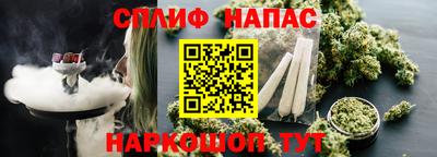 гидра Обнинск