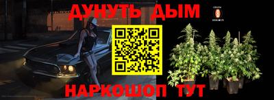 гидра Обнинск