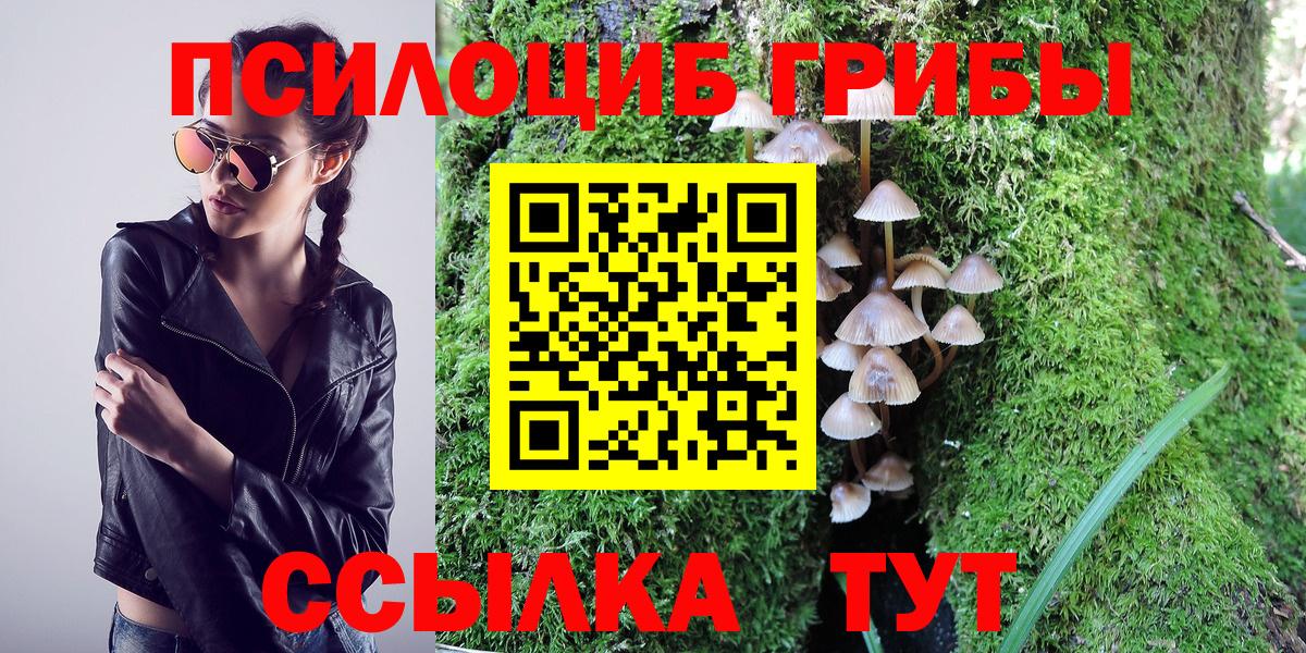 Псилоцибиновые грибы Psilocybine cubensis Рассказово