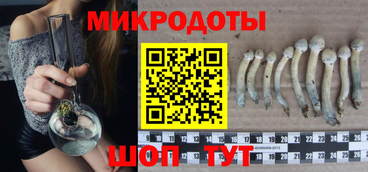 закладка  Вход с VPN  Галлюциногенные грибы прущие грибы  Рассказово  Псилоцибиновые грибы Magic Shrooms 